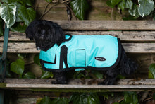 Load image into Gallery viewer, All Seasons Waterproof Dog Coat in Turquoise Blue