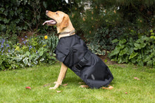Load image into Gallery viewer, All Seasons Waterproof Dog Coat in Black