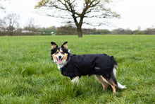 Load image into Gallery viewer, All Seasons Waterproof Dog Coat in Black