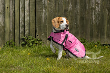 Load image into Gallery viewer, All Seasons Waterproof Dog Coat in Pink