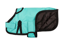 Load image into Gallery viewer, All Seasons Waterproof Dog Coat in Turquoise Blue