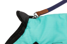 Load image into Gallery viewer, All Seasons Waterproof Dog Coat in Turquoise Blue