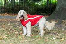 Load image into Gallery viewer, Fleece Lined Reflective Raincoat in Red