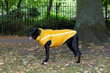 Load image into Gallery viewer, Fleece Lined Reflective Raincoat in Yellow