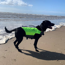 Load image into Gallery viewer, Life Jacket for Dogs