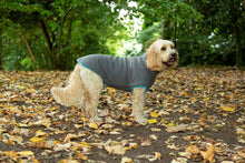 Load image into Gallery viewer, Dog Fleece Jumper in Grey
