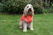 Load image into Gallery viewer, Dog Fleece Jumper in Orange