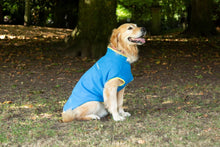 Load image into Gallery viewer, Dog Fleece Jumper in Blue