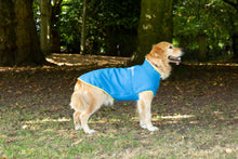 Load image into Gallery viewer, Dog Fleece Jumper in Blue
