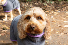 Load image into Gallery viewer, Microfibre Dog Drying Coat - Grey