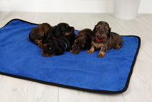 Load image into Gallery viewer, Reusable Multipurpose Dog Puppy Pad