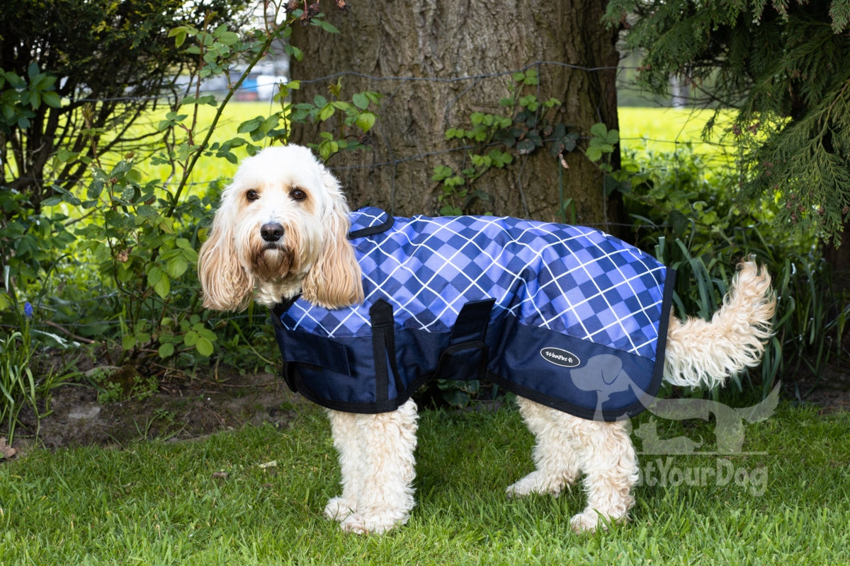 All Seasons Waterproof Dog Coat in Blue Check Walksters