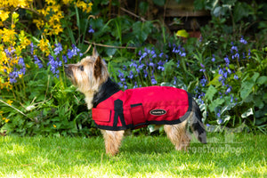 All Seasons Waterproof Dog Coat in Red