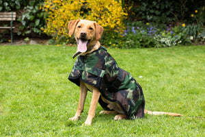 All Seasons Waterproof Dog Coat in Camo