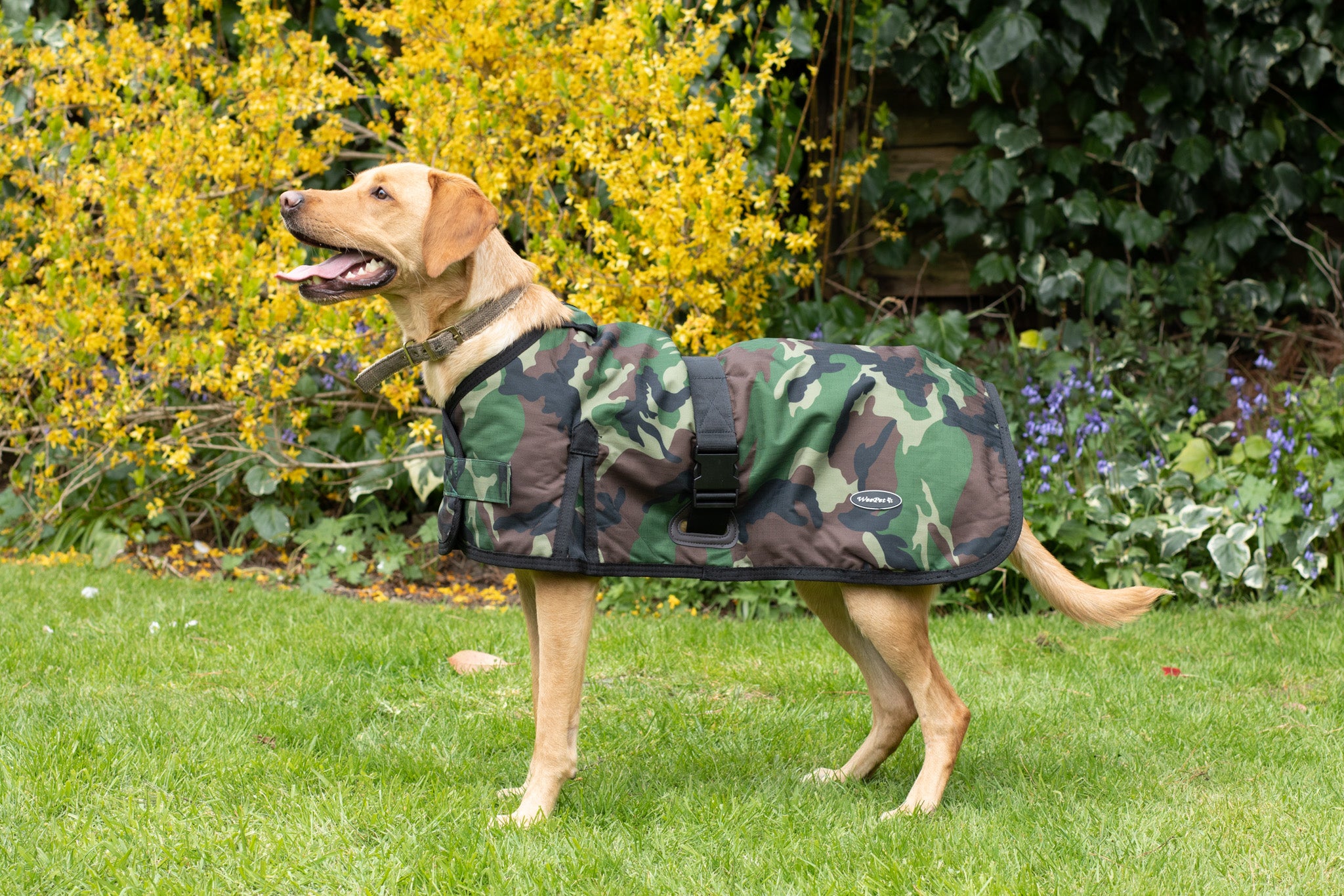 Camouflage waterproof shop dog coat