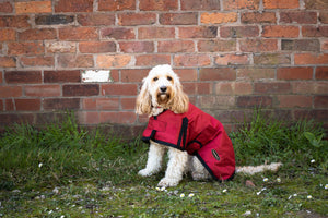 All Seasons Waterproof Dog Coat in Red