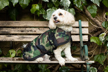 Load image into Gallery viewer, All Seasons Waterproof Dog Coat in Camo
