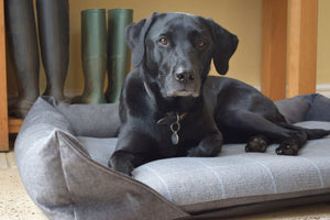 Aviemore Dog Bed in Dark Grey Check