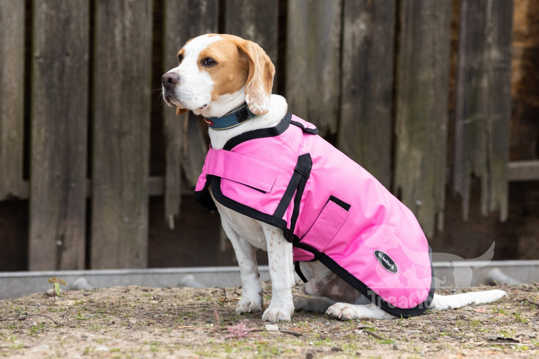 Pink waterproof online dog coat