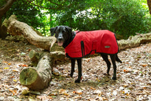 Load image into Gallery viewer, All Seasons Waterproof Dog Coat in Red
