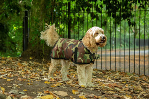 All Seasons Waterproof Dog Coat in Camo