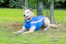 Load image into Gallery viewer, Fleece Lined Reflective Raincoat in Blue
