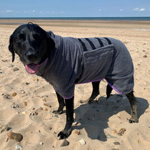 Load image into Gallery viewer, Microfibre Dog Drying Coat - Grey
