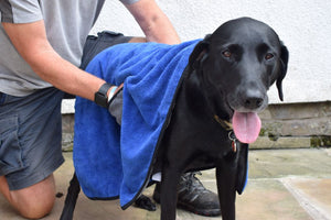 Microfibre Dog Towel with Hand Pockets