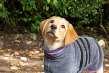 Load image into Gallery viewer, Microfibre Dog Drying Coat - Grey
