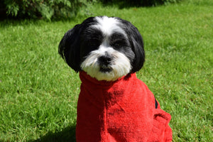 Microfibre Dog Drying Coat - Red