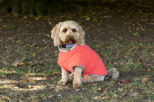 Dog Fleece Jumper in Orange