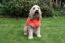 Load image into Gallery viewer, Dog Fleece Jumper in Orange
