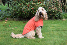 Load image into Gallery viewer, Dog Fleece Jumper in Orange
