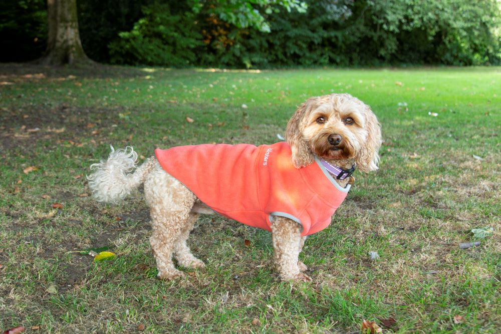 Dog Fleece Jumper in Orange