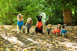 Dog Fleece Jumper in Orange