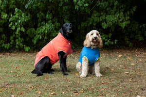 Dog Fleece Jumper in Orange