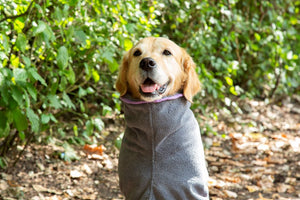 Microfibre Dog Drying Coat - Grey