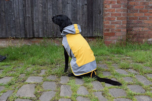 Dog Raincoat with Underbelly Cover