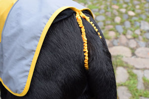 Dog Raincoat with Underbelly Cover