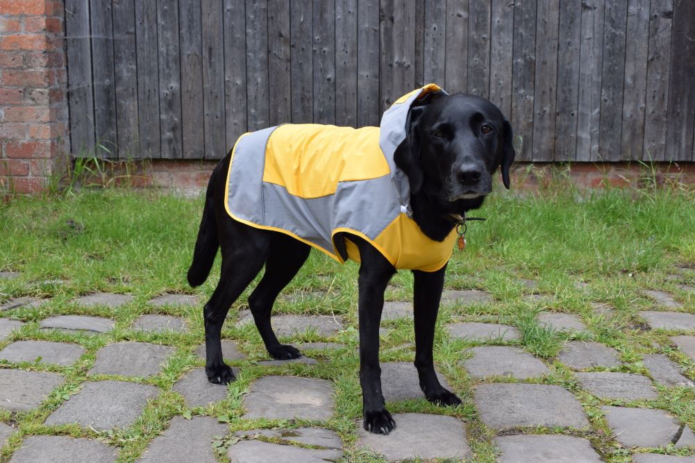 Dog Raincoat with Underbelly Cover