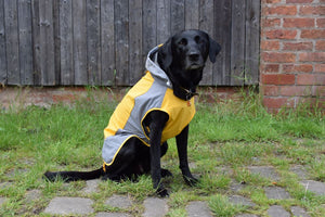 Dog Raincoat with Underbelly Cover