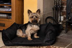 Elements Waterproof Dog Bed in Black